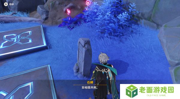 原神清籁岛石板怎么踩 清籁岛石板解谜攻略[多图]图片6
