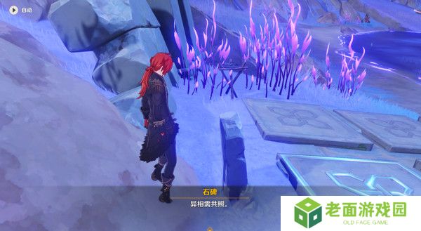 原神清籁岛石板怎么踩 清籁岛石板解谜攻略[多图]图片12