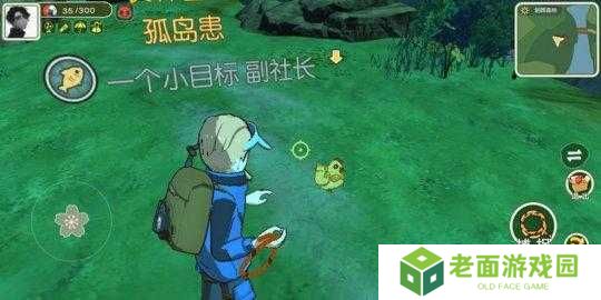 小森生活金色羽毛作用是什么,全面攻略指南