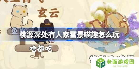 桃源深处有人家雪景喵趣怎么玩 雪景喵趣玩法攻略[多图]图片1