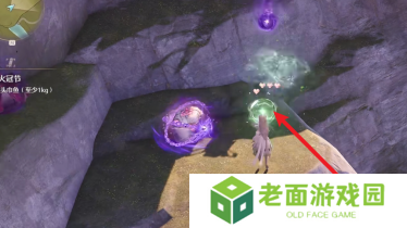 无限暖暖回避纽扣在哪里采集 回避纽扣获取攻略[多图]图片3