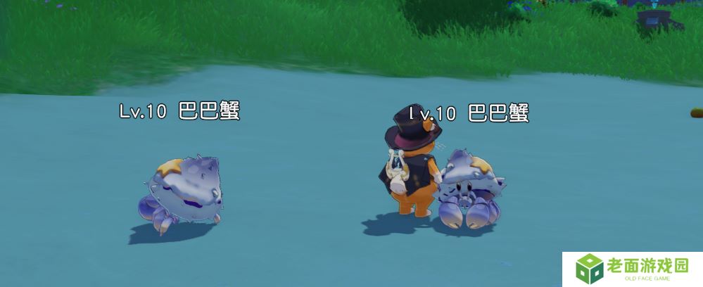 MMO赛道又迎来了怪咖新成员？这款新作12月初正式开启PC端测试！
