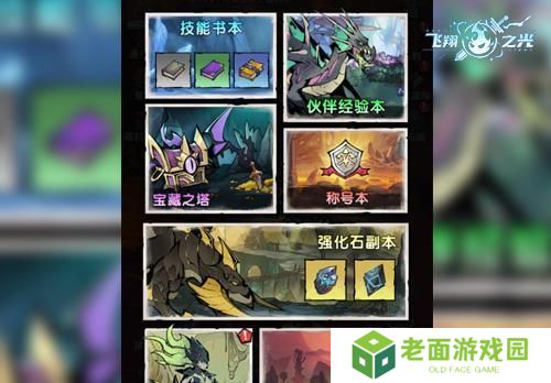 飞翔之光