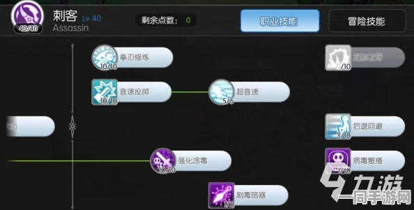 仙境传说手游深度攻略，血连续盾击圣殿技能加点与装备完美搭配解析