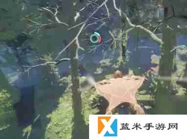 雾锁王国赛姆斯之印宝箱材料怎么收集 赛姆斯之印宝箱材料收集攻略