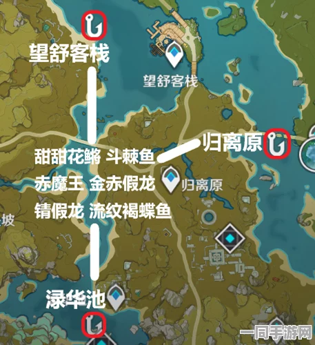 原神锖假龙出没时间与刷新规律全面解析