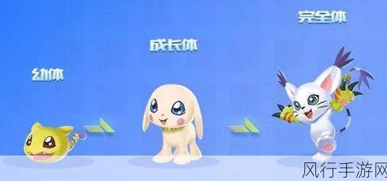 QQ飞车宠物全面揭秘，掌握独门秘籍，助你轻松领养心仪可爱萌宠！