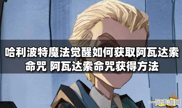 哈利波特，魔法觉醒中阿瓦达索命的终极策略与道德边界探讨