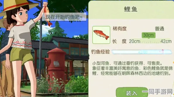 小森生活深度攻略，全面掌握高效获取鲤鱼王饲料的方法