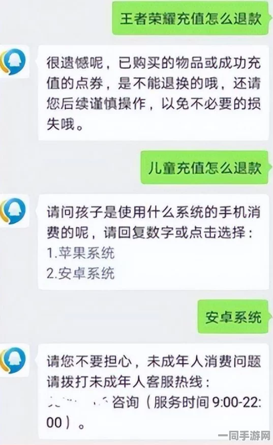 微信平台详解王者荣耀全额退款流程，轻松快捷，退款梦想成真指南