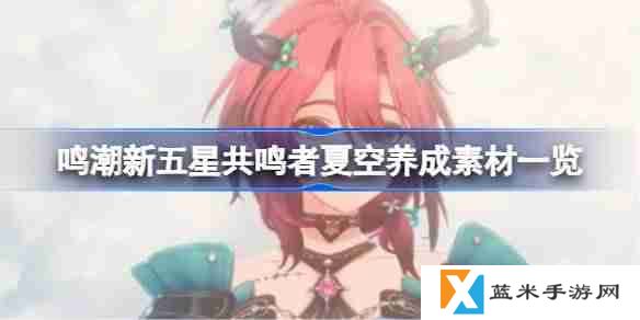 鸣潮新五星共鸣者夏空养成素材一览-鸣潮新五星共鸣者夏空养成素材有哪些