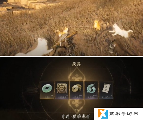 燕云十六声猫瘾患者奇遇怎么做 猫瘾患者奇遇攻略