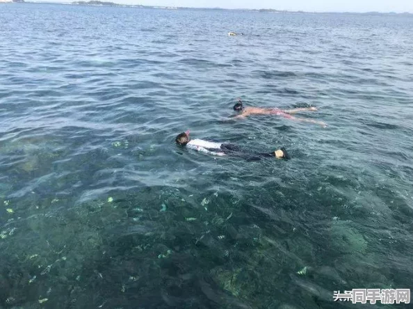 航海王热血航线震撼登场，揭秘SS船长路飞满分挑战极限秘籍