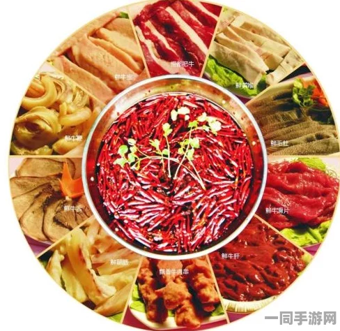 鬼城麻辣鸡的完美伴侣，深入解析食物语中的汤药搭配奥秘