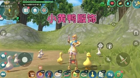 揭秘创造与魔法小鸡帽获取全攻略，助你轻松拥有珍稀装扮
