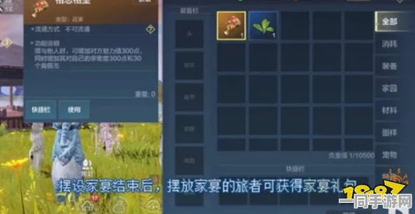 光遇箬笠梦想季免费获取攻略，全面解析领取位置