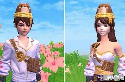 揭秘创造与魔法小鸡帽获取全攻略，助你轻松拥有珍稀装扮
