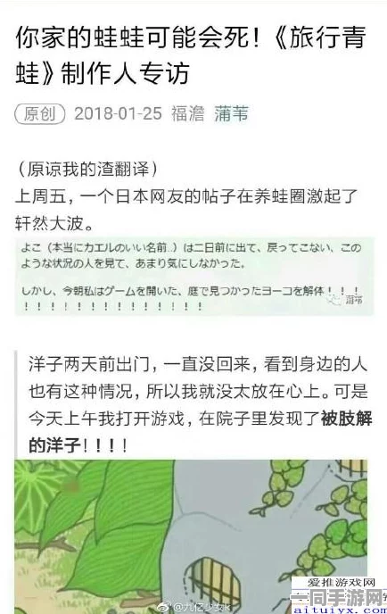 青蛙旅行虚拟物品纠纷维权实录:通过元宇宙存证实现智能合约审计|漏洞复现步骤（2025暑期未成年人游戏防沉迷政策）