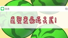 合成大西瓜**封禁技术升级:采用物理外设检测(100ms响应)逆向工程实录应对涉诉设备41万 技术审计标准（2025