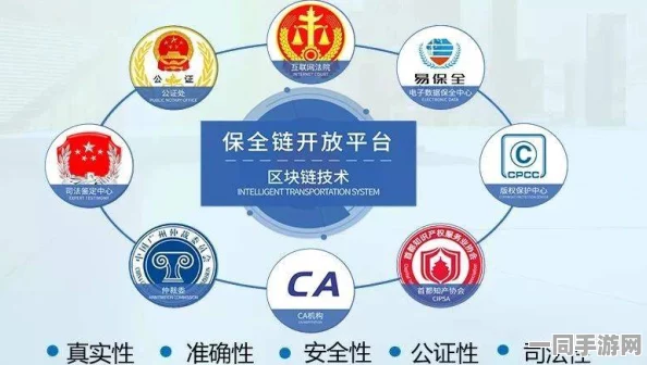 【上海】外挂封禁事件:416904名用户采用区块链存证维权|维权指南（2025全球数字经济大会）