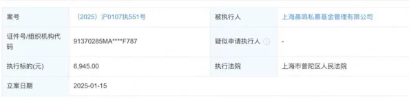 【账号盗用】合成大西瓜鸿蒙原生适配纠纷案(2025）沪01民终4120号)技术方案未公开判赔6万元